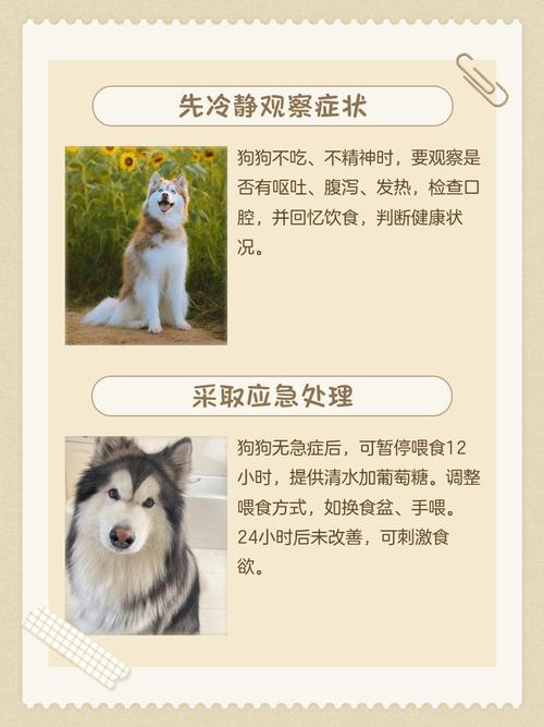 狗狗吃喝正常但没精神