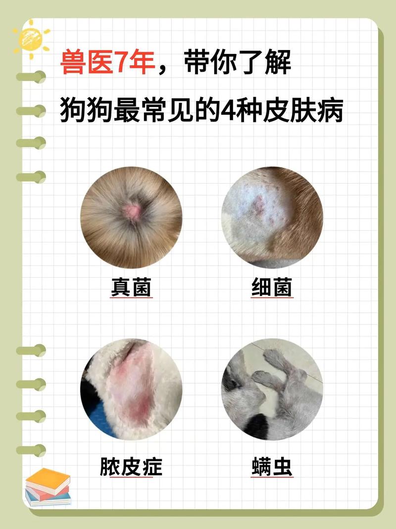 狗狗的皮肤病会传染给人吗~~~