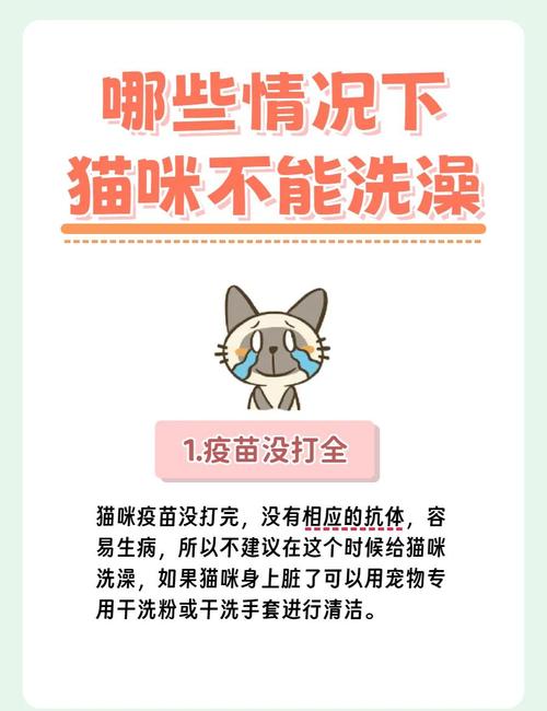 小猫好脏,太小了,不能洗澡,有什么办法去虫,