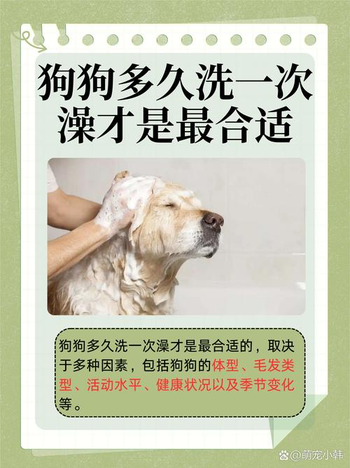 狗狗三天洗一次澡可以吗?