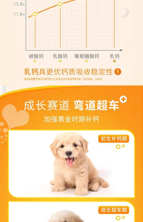 狗狗吃什么钙片能补钙效果好