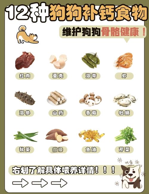 狗吃什么钙片