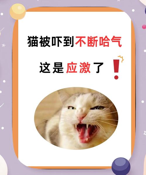 母猫为什么哈气自己小猫