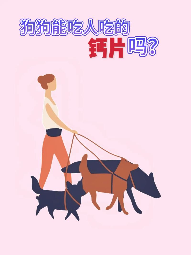 狗狗吃人吃的钙片可以吗,狗狗能不能吃人的钙片