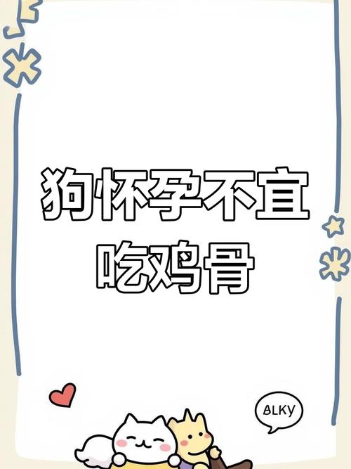 狗狗怀孕能吃鸡骨头吗