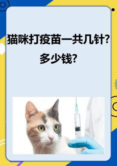 给宠物猫打疫苗一般要花费多少钱呢?