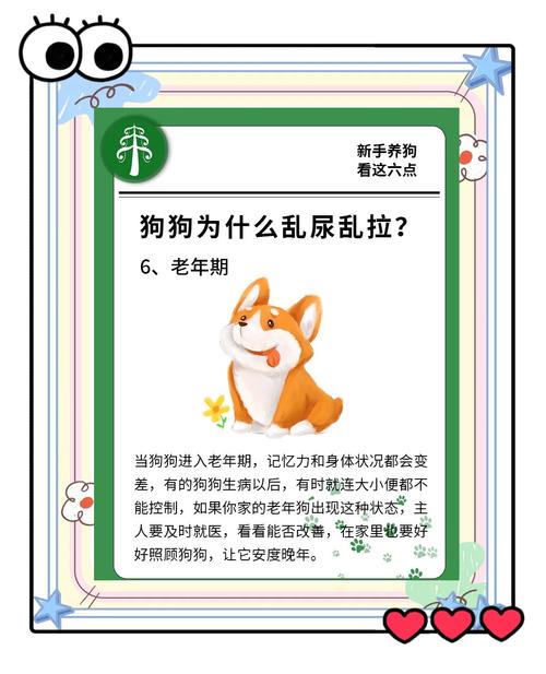 为什么狗狗半天不拉屎也不拉尿