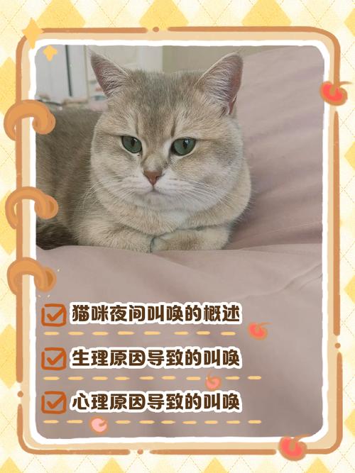 半夜听见猫一直在叫,是发情吗?