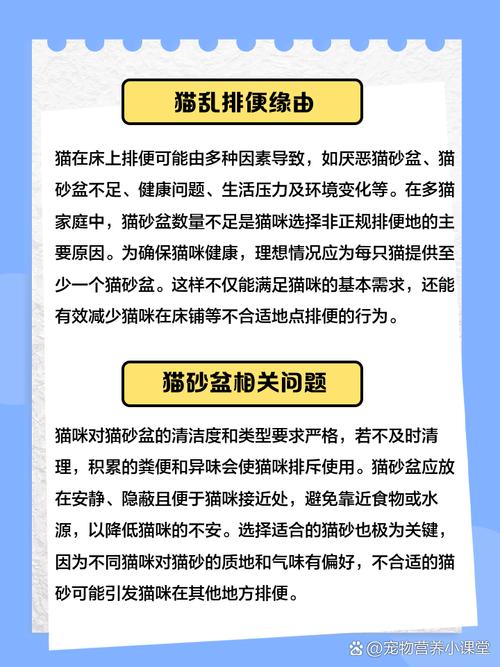 猫为什么突然拉屎在床上