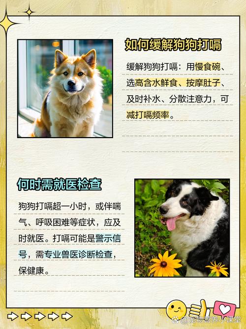 狗狗老是打嗝怎么办