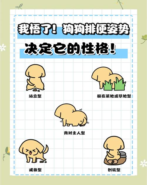 狗狗怎么只拉尿不拉便便急急急