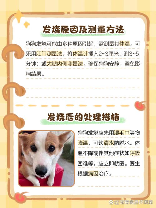 狗狗发烧的症状表现
