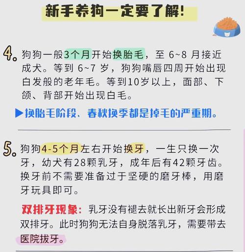 狗狗体温正常是多少度