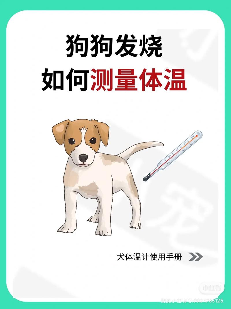 狗狗体温多少度正常