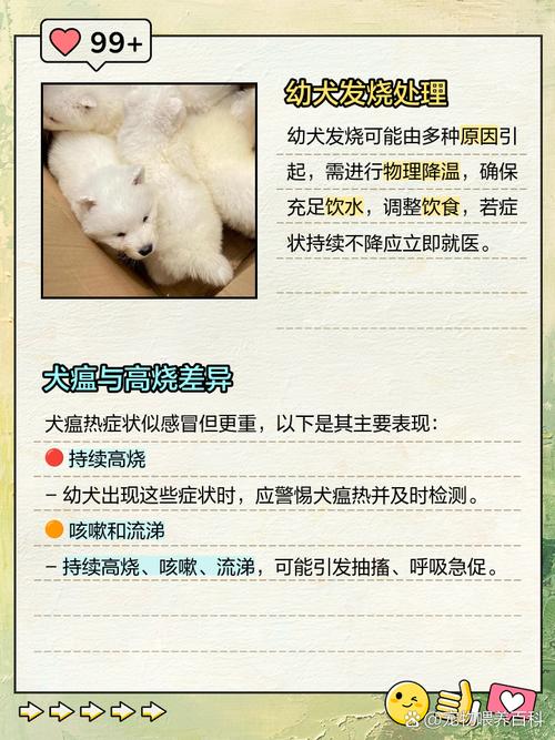 狗的体温36度正常吗(狗狗体温36.5度怎么办)