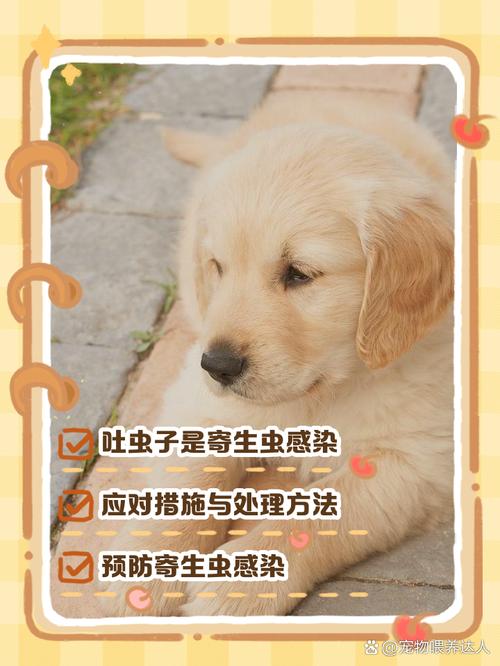 小狗狗吐虫子怎么回事