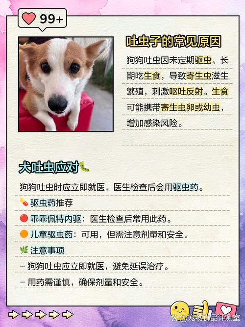 幼犬呕吐出白色细长的虫子