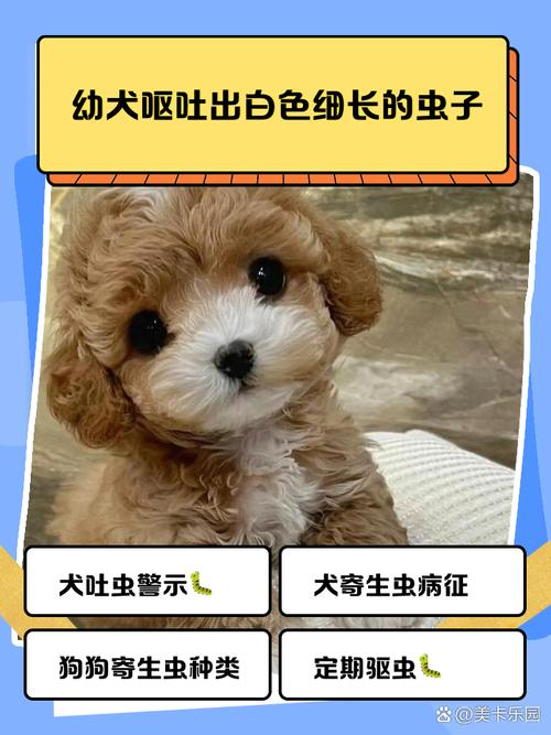 狗狗吐出来长长的虫子卷着的