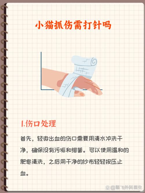 被家养猫抓伤轻微出血要打针吗