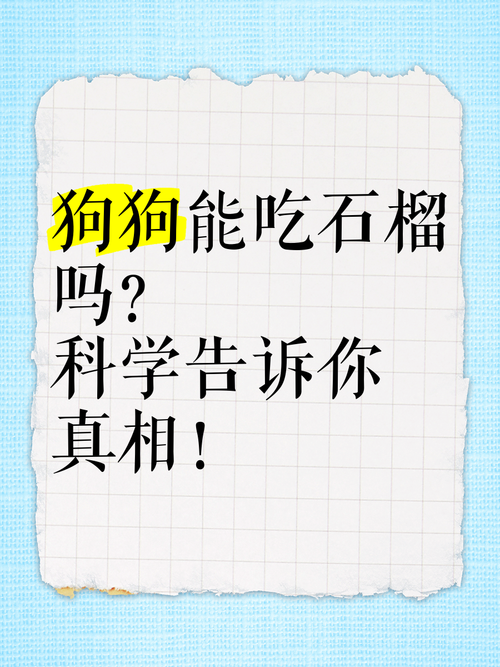 泰迪狗狗不能吃的水果有哪些
