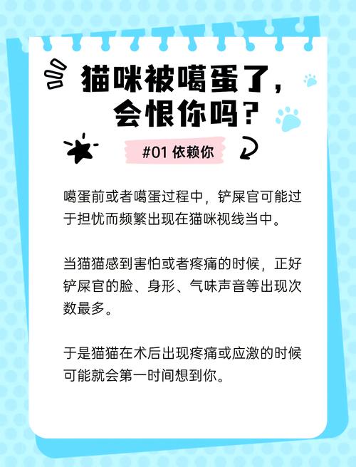 猫绝育后性格会改变吗?