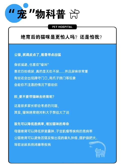 小猫绝育后性格有变化吗