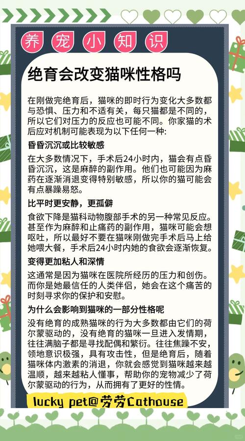 【疑问】猫咪绝育后性格会变吗?