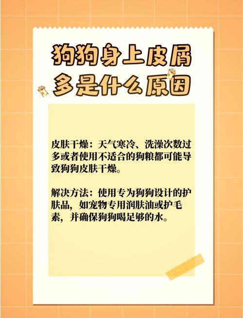 狗狗皮肤病吃什么比较好