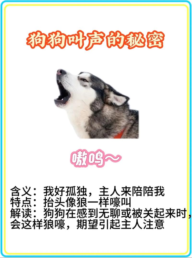 狗狗对主人哼哼唧唧是啥意思低声嗯嗯叫是怎么了