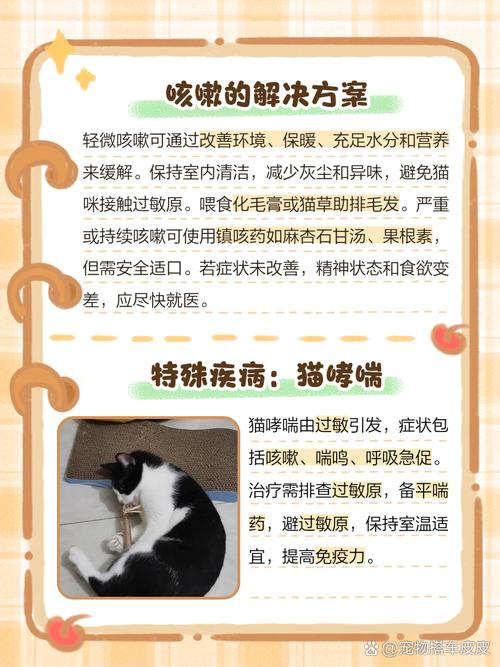 猫咪像呕吐一样咳嗽