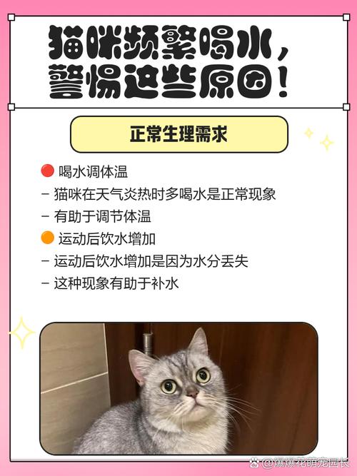 猫咪突然频繁喝水是怎么回事?