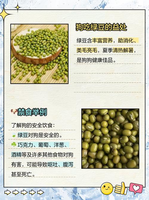 狗吃绿豆有什么副作用