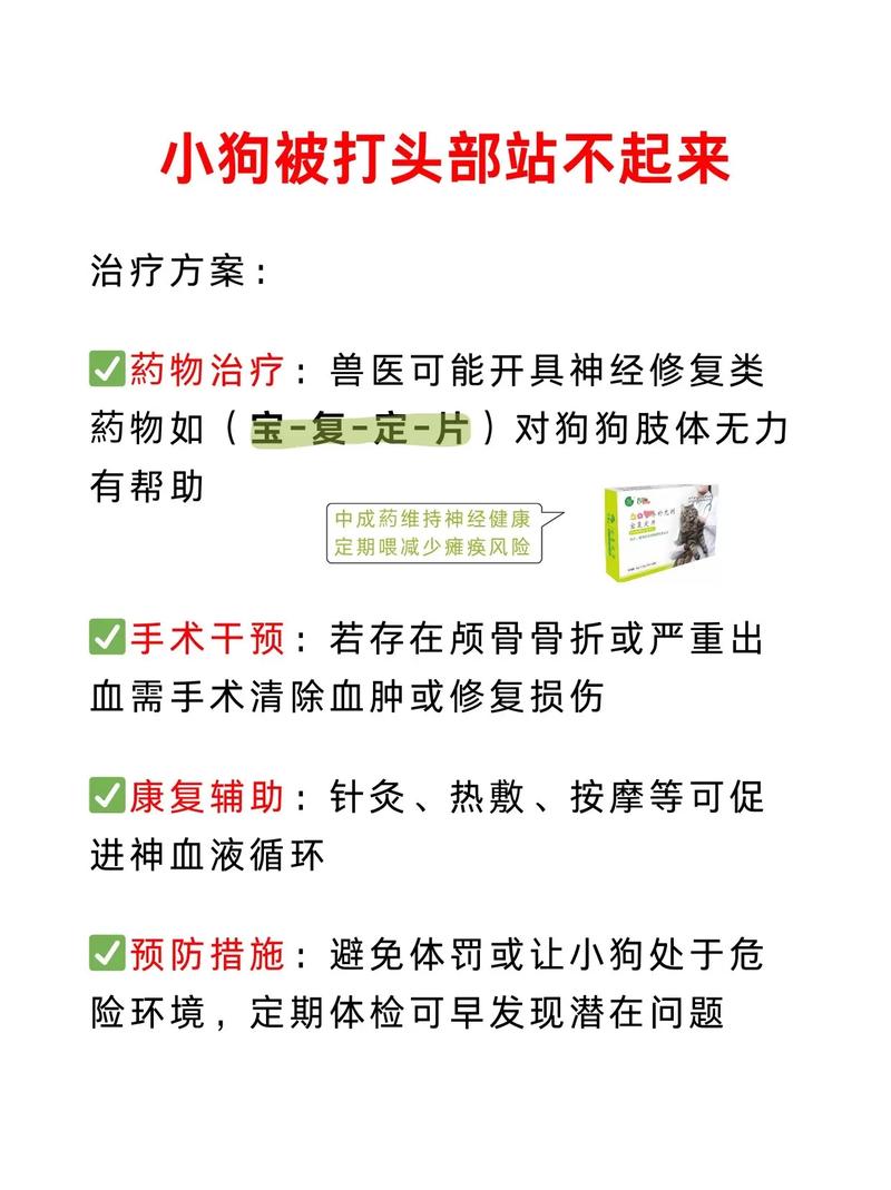 狗狗脑震荡怎么办?