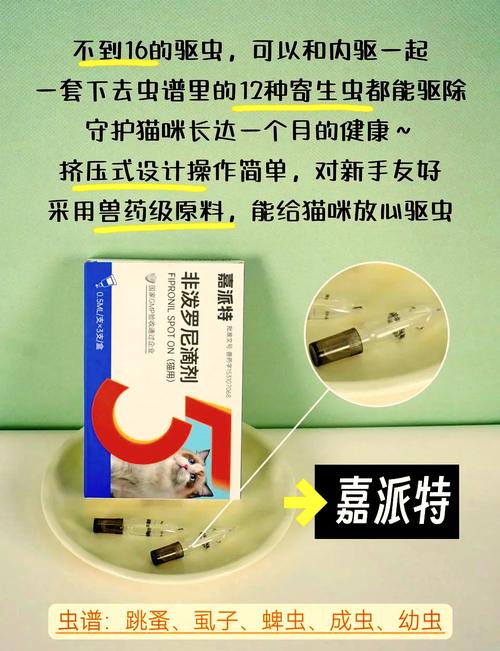 四个月猫咪体内驱虫吃多少比较好