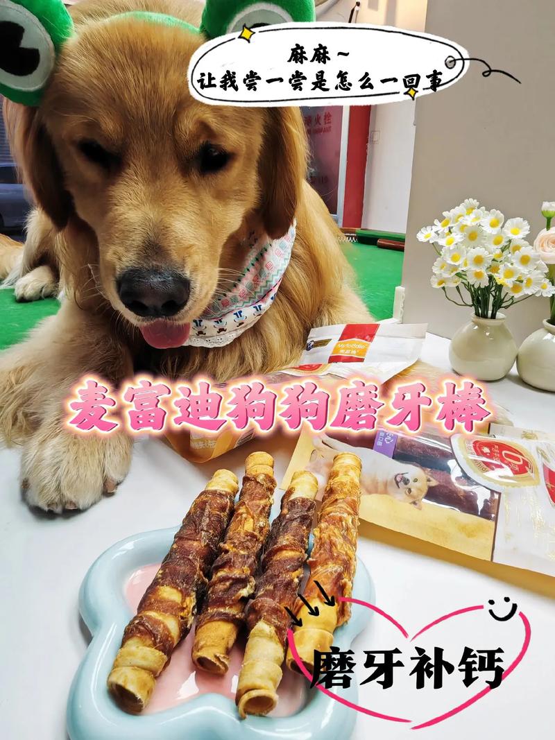 狗狗几个月能吃磨牙棒