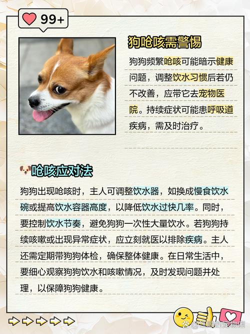 狗狗喝水咳嗽干呕发出咔咔咔的声音