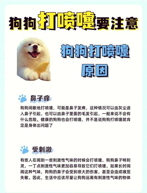 狗狗呕吐打喷嚏是怎么回事