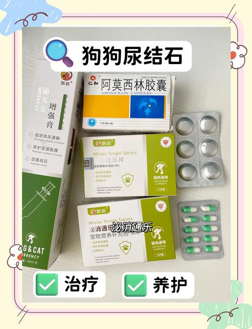 狗狗为什么尿特别黄