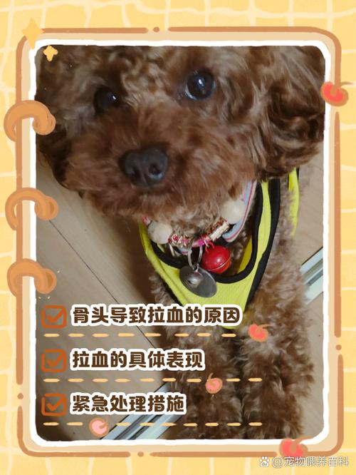 狗狗吃了骨头拉血怎么办