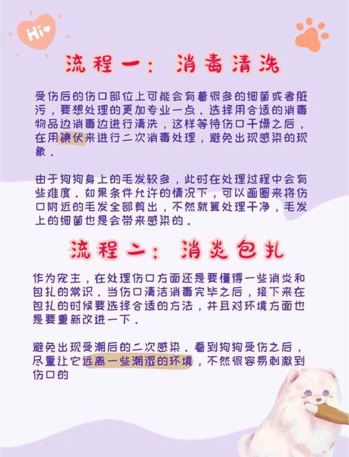狗狗伤口怎样处理最快痊愈?