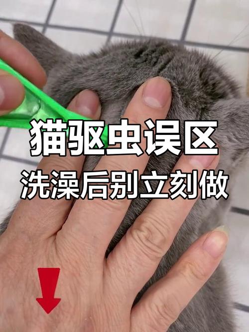 猫驱虫后多久可以洗澡吗
