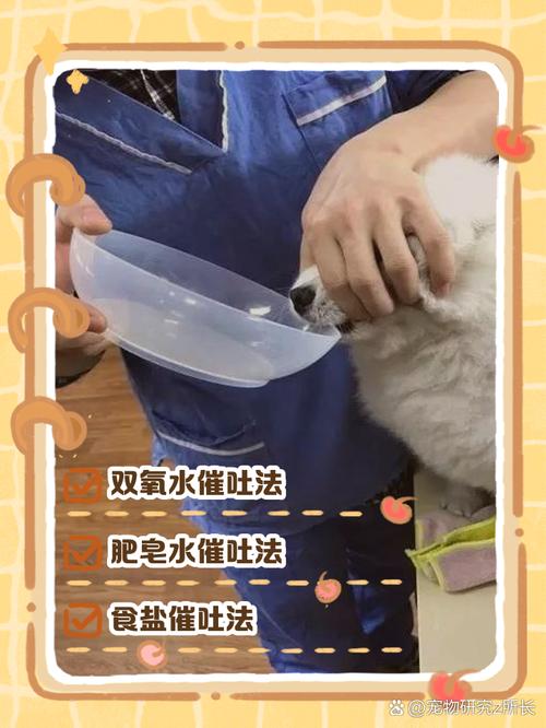 狗狗吃了不该吃的要怎么催吐啊