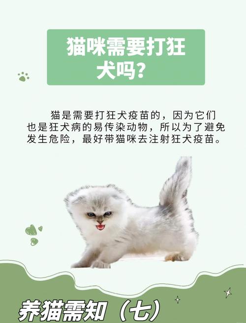 猫打过狂犬疫苗后还会得狂犬病吗?