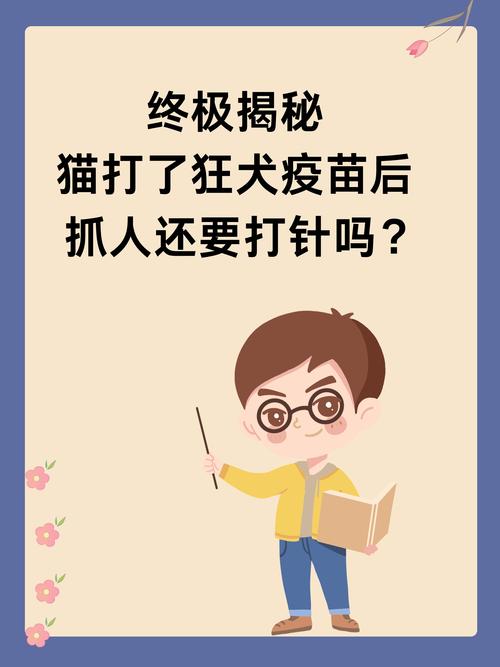 猫打了狂犬疫苗会出现什么样的不良状况