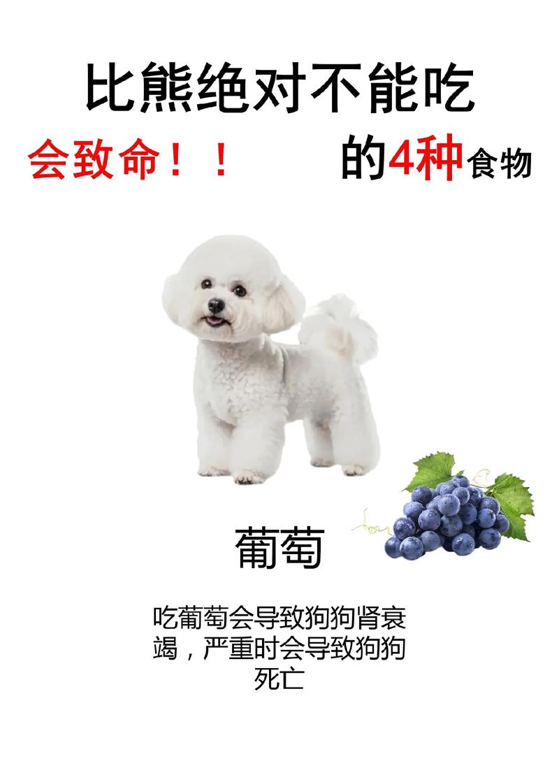 兔粮可以给狗吃吗