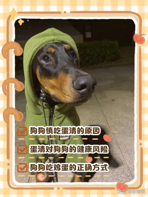 狗狗吃鸡蛋白会怎么样?