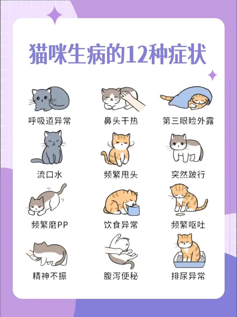 猫咪生病后会有什么症状