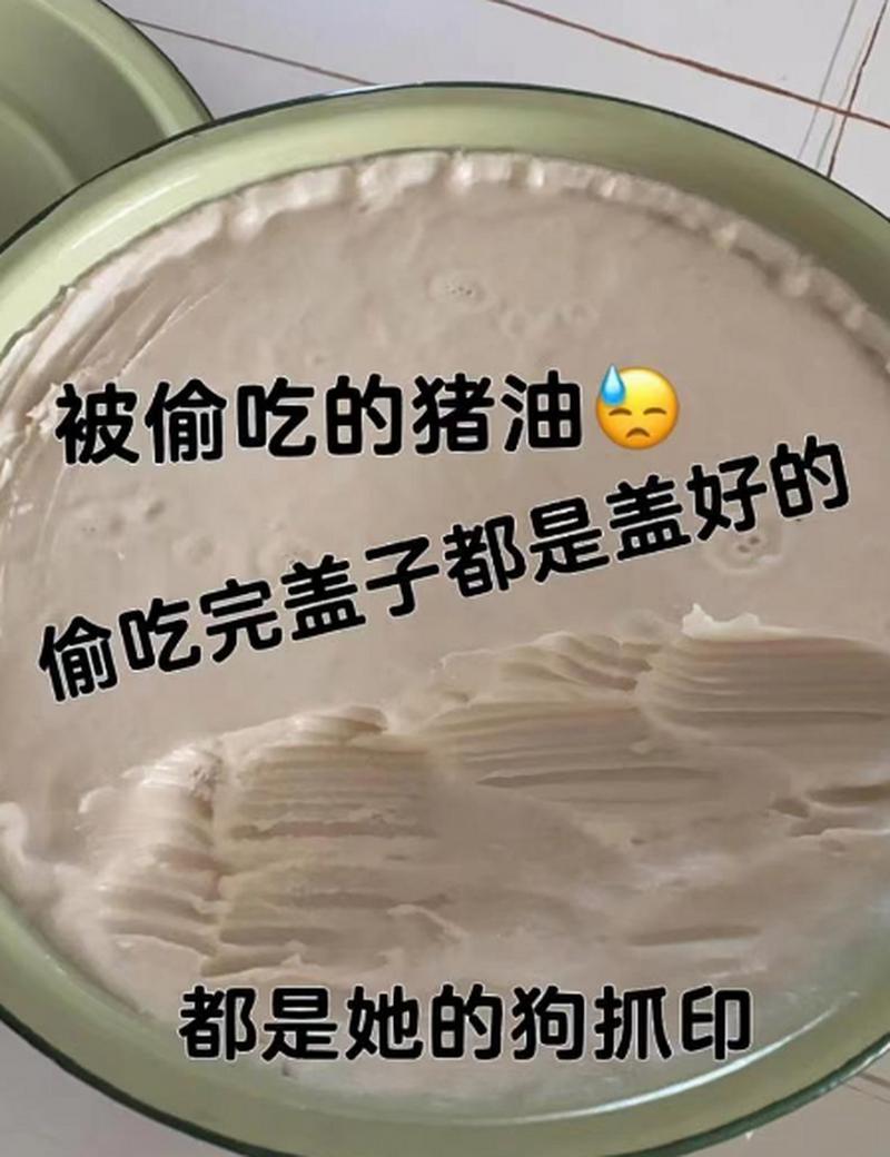 为什么狗狗爱吃猪油