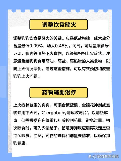 狗狗被下毒了之后吃什么