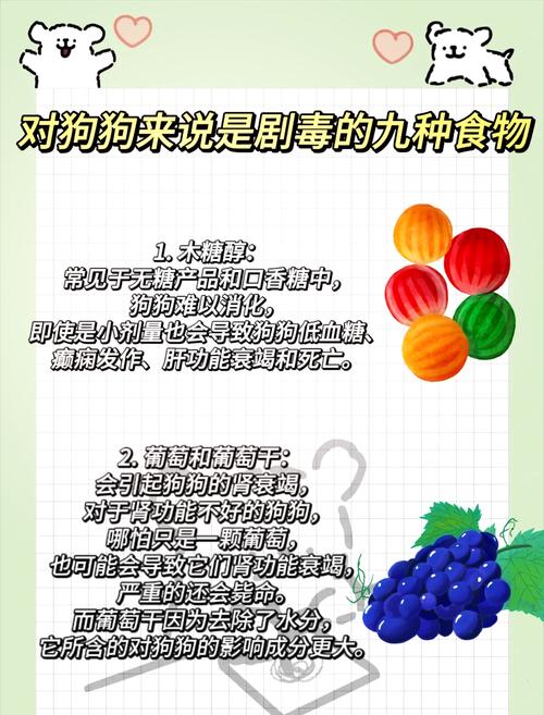 小狗狗可以吃绿豆稀饭吗???